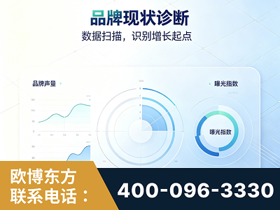 鸡西-品牌现状诊断
